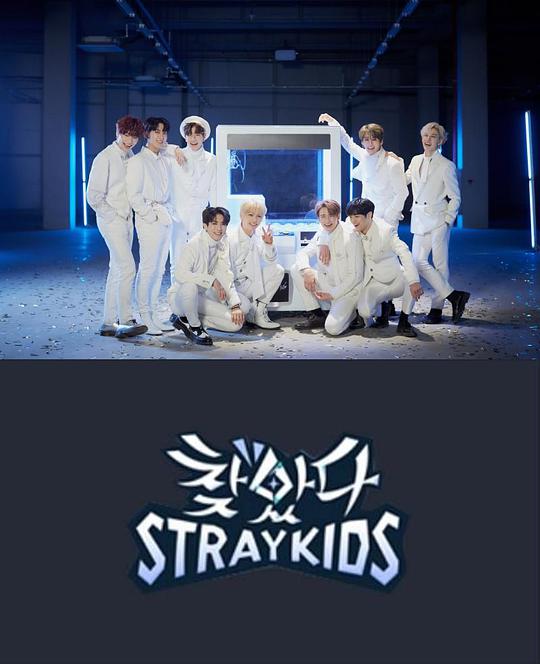 找到了Stray Kids(全集)