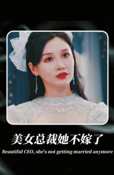 美女总裁不嫁了第04集