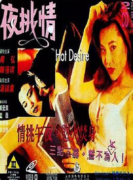 夜挑情1993(全集)